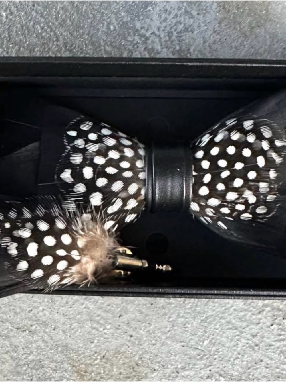 Feather Bow Tie & Lapel Pin with Polka Dot Pattern - Black and White